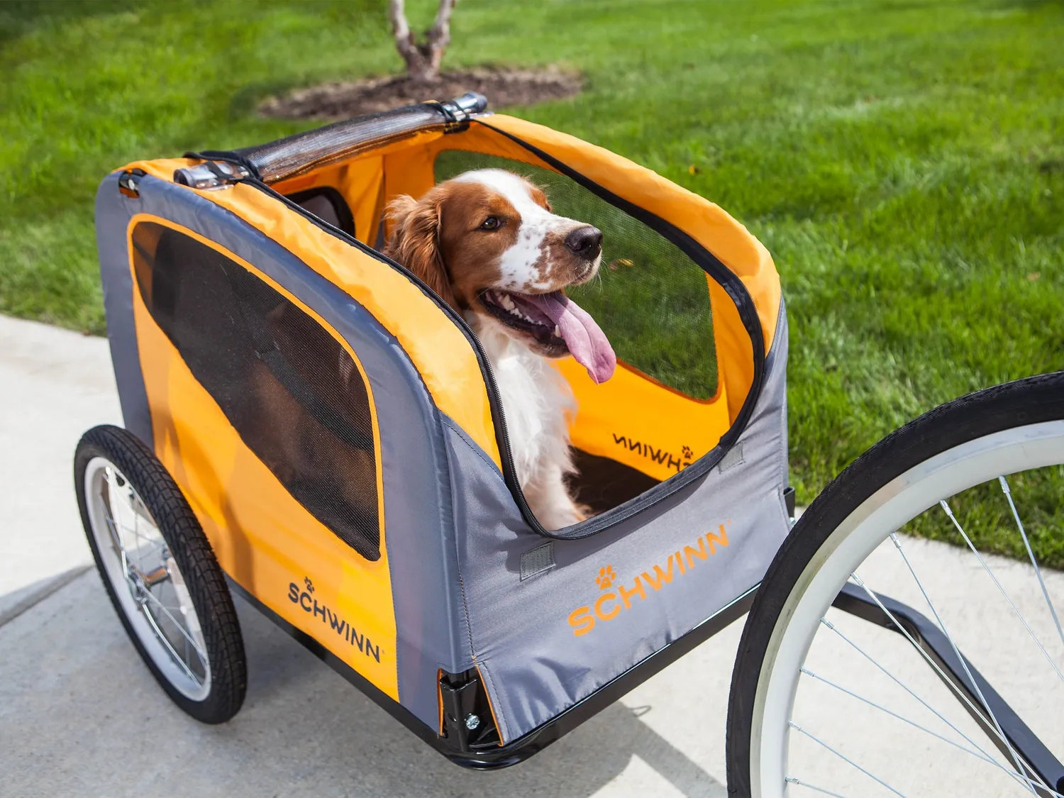 Schwinn Rascal rimorchio bici per cani arancione