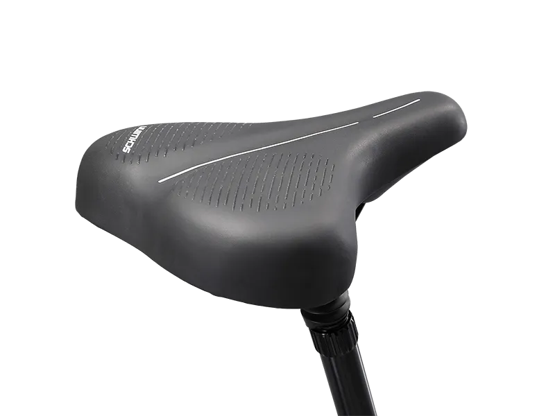 Schwinn Trailway Step-Thru bici ibrida pervinca telaio basso