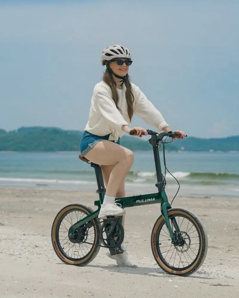 PULUMA PT20 bici elettrica pieghevole verde carbonio
