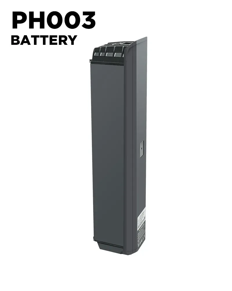 PULUMA PH003 batteria 48V 20Ah ricambio