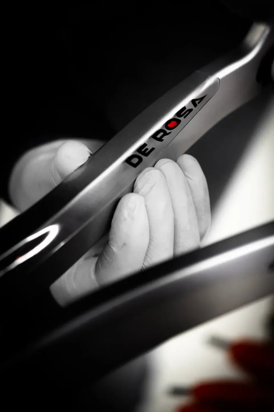 De Rosa Chain Guard paracatena bici protezione telaio