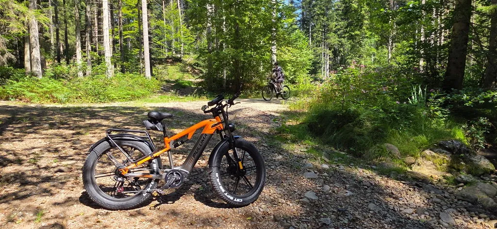 Puluma PH003 ebike fat bike arancione 26" biammortizzata